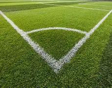 文班狂揽,帽助马刺,战全胜,大发彩票,大发快三彩票官网,dafa大发彩票官网,大发彩票官网玩家首选