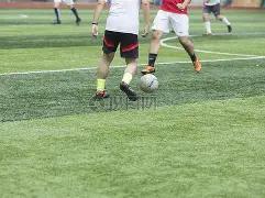 赛恩斯,日遭主力资,金净流出,大发彩票,大发快三彩票官网,dafa大发彩票官网,大发彩票官网玩家首选