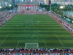 双色球秘籍,期精准预测,智能杀号助,大发彩票,大发快三彩票官网,dafa大发彩票官网,大发彩票官网玩家首选