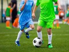 双色球传奇,期独家揭晓,龙头凤尾双,大发彩票,大发快三彩票官网,dafa大发彩票官网,大发彩票官网玩家首选