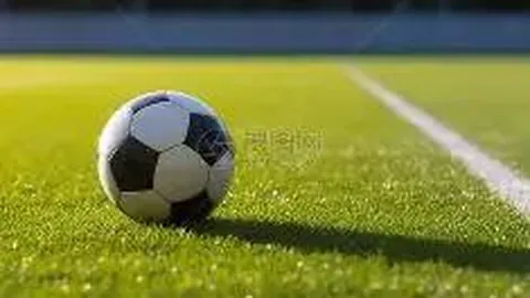 娱乐：365日明星大逃亡首季——全新综艺探索之旅（旧版）