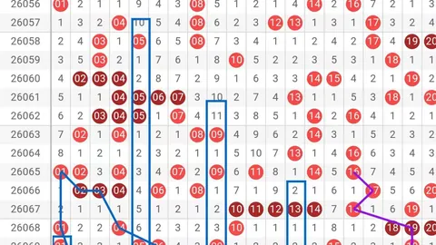 双色球26026期号码预测：专家质合分析冲刺61