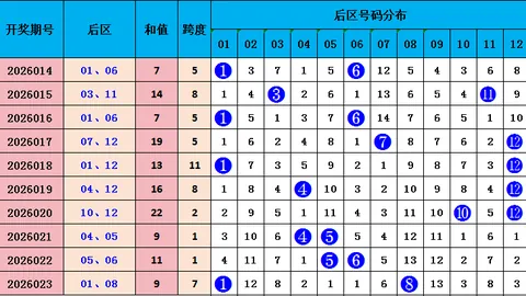 大发彩票