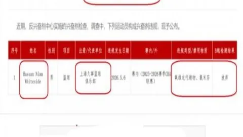 申花梅州战3-1告，大发彩票避坑，捷，18岁双星中超首秀闪耀登场